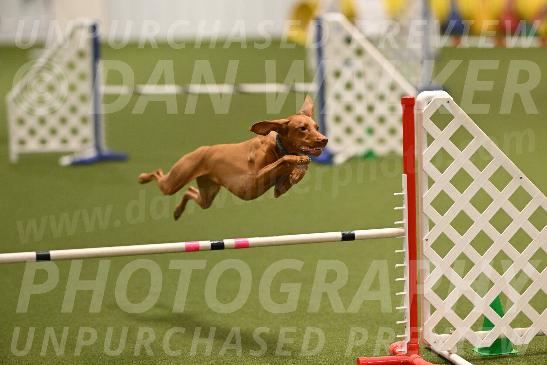 Indie-Jean-Bonness-02690