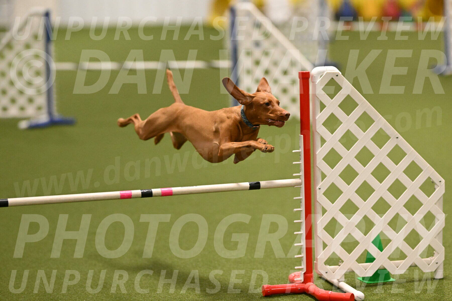 Indie-Jean-Bonness-02691