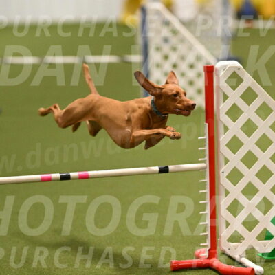 Indie-Jean-Bonness-02691