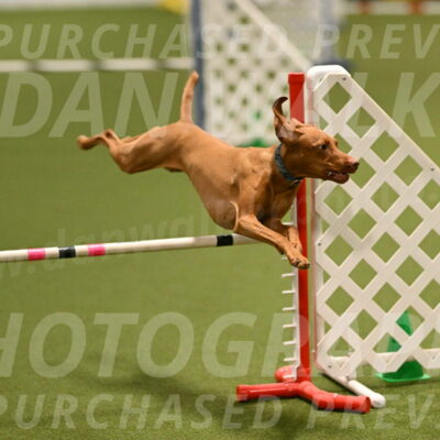 Indie-Jean-Bonness-02692