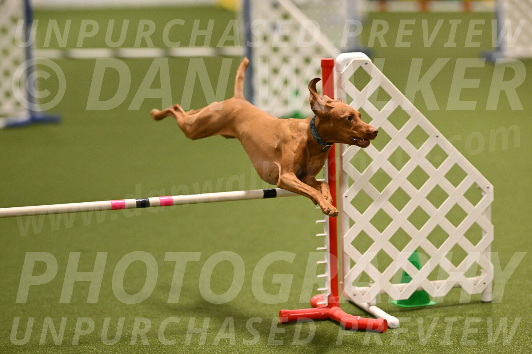 Indie-Jean-Bonness-02692