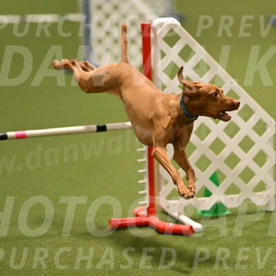 Indie-Jean-Bonness-02693