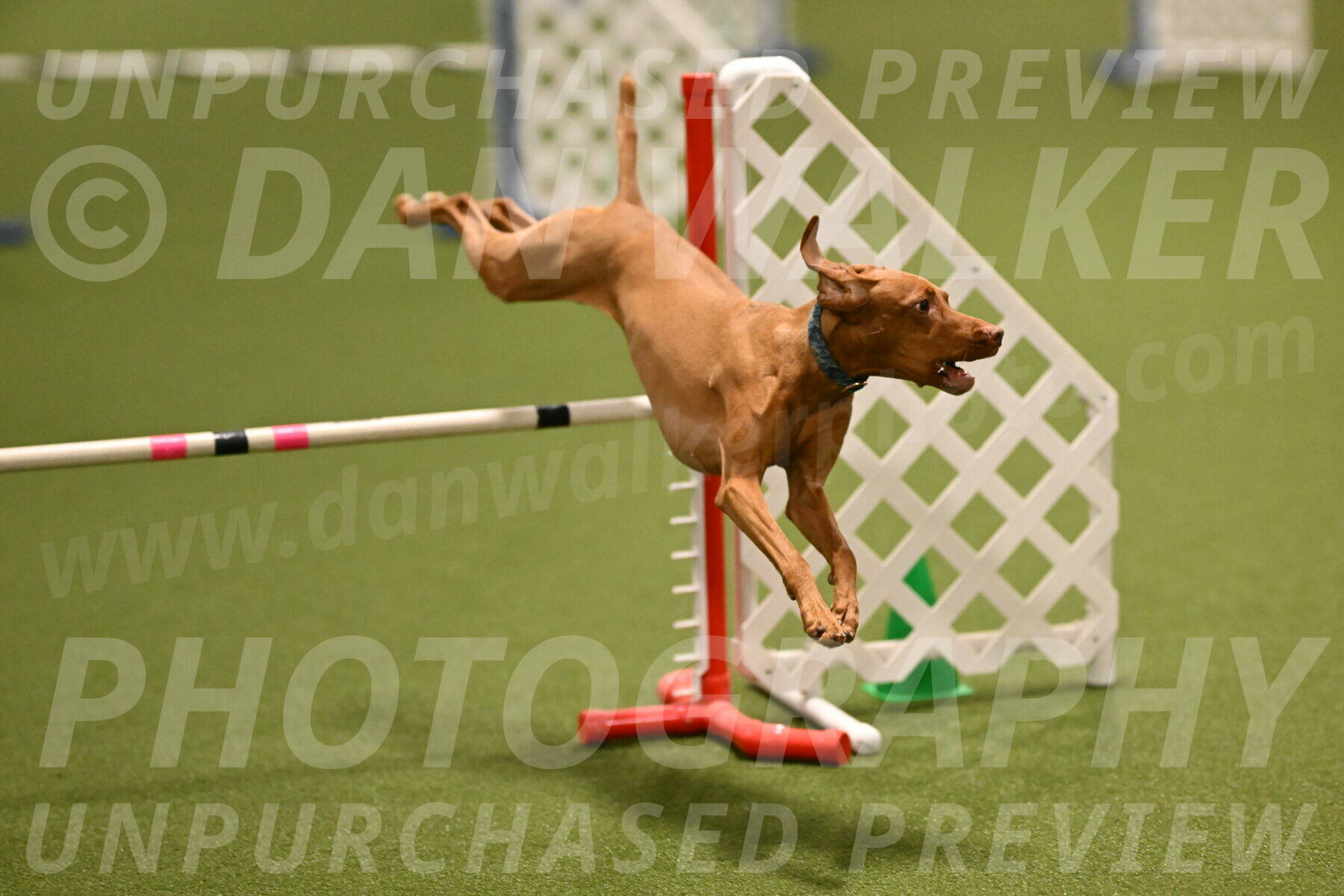 Indie-Jean-Bonness-02693