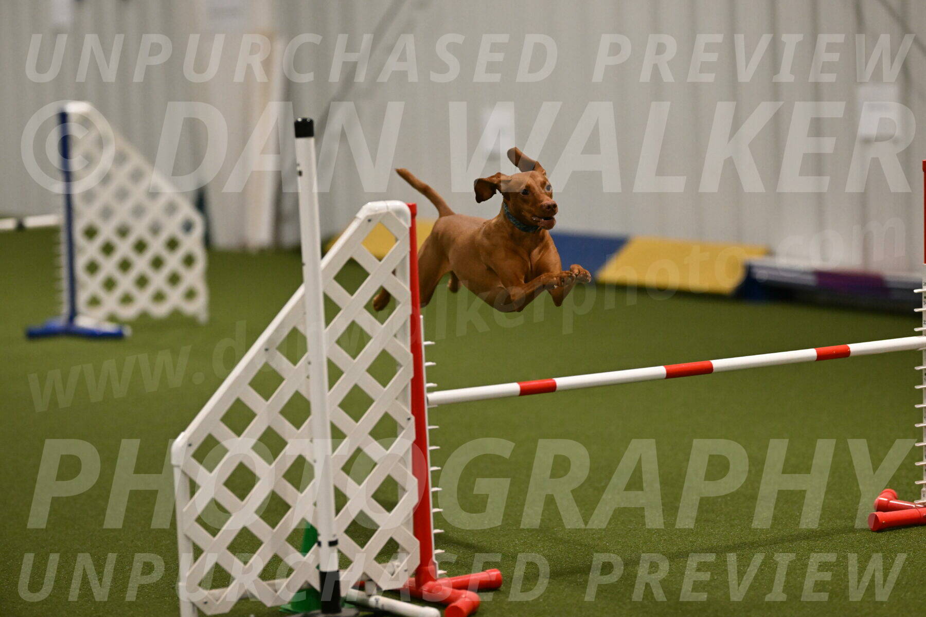 Indie-Jean-Bonness-02694