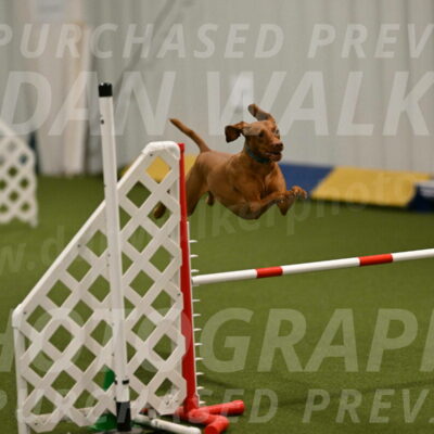 Indie-Jean-Bonness-02694