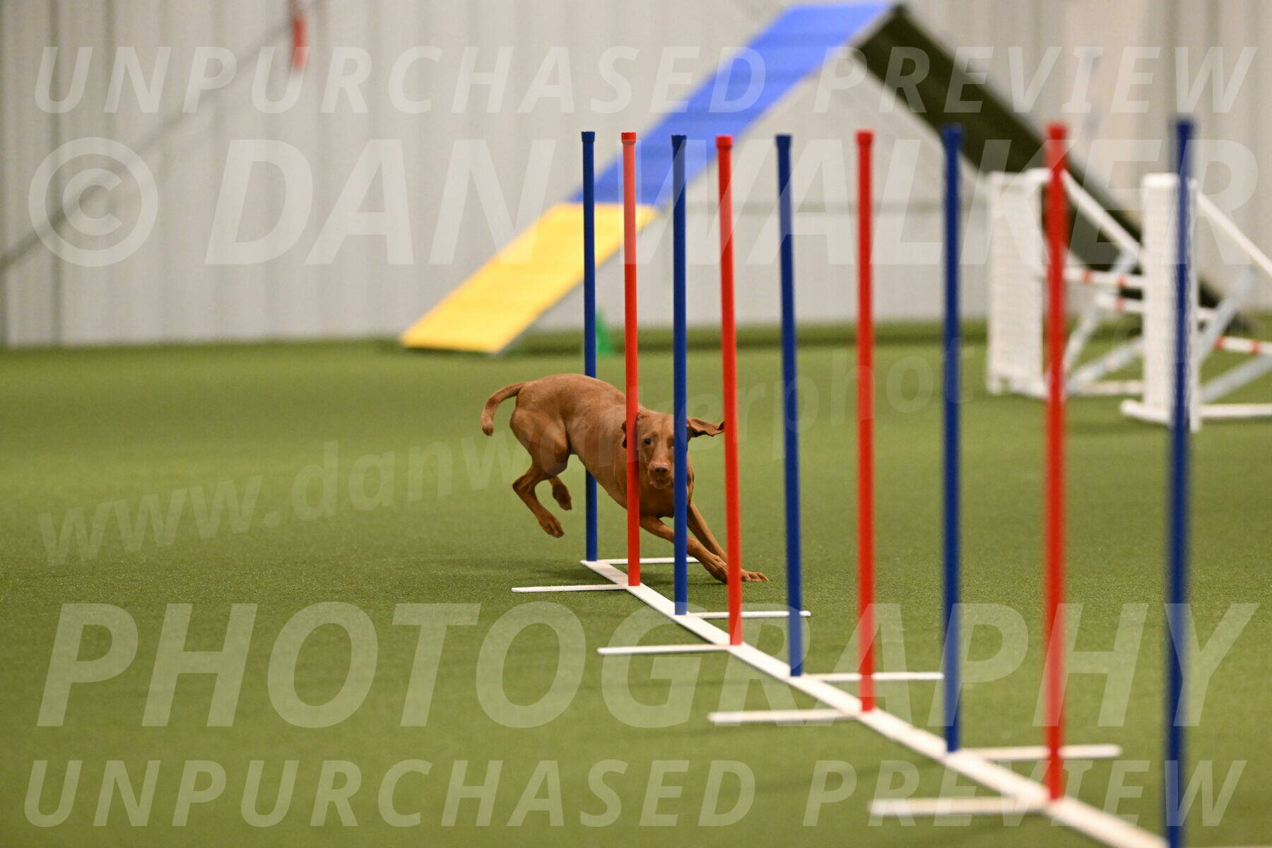 Indie-Jean-Bonness-02695