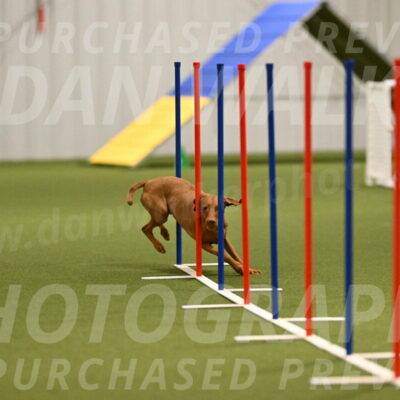 Indie-Jean-Bonness-02695