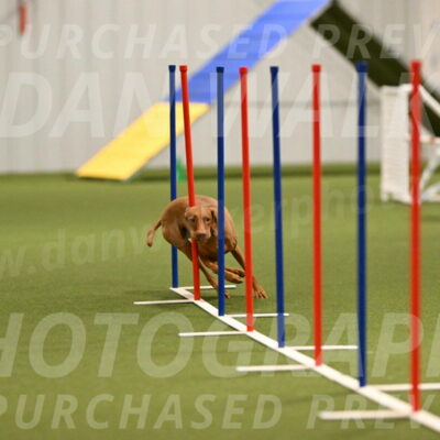 Indie-Jean-Bonness-02696