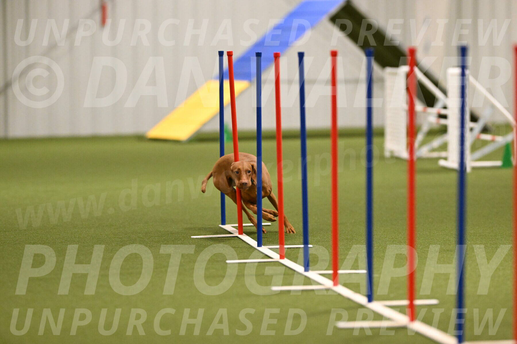 Indie-Jean-Bonness-02696