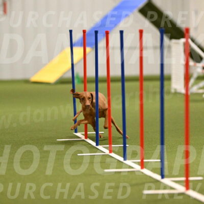 Indie-Jean-Bonness-02697