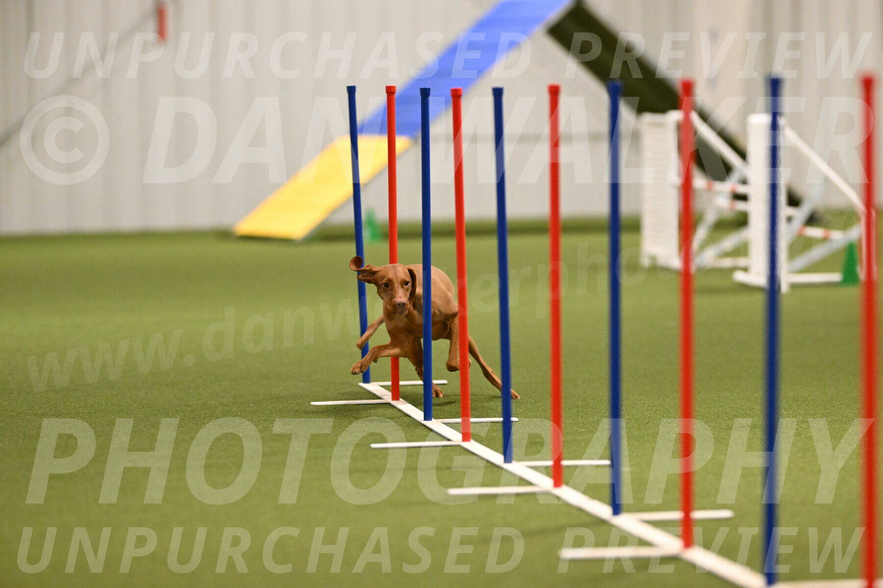 Indie-Jean-Bonness-02697