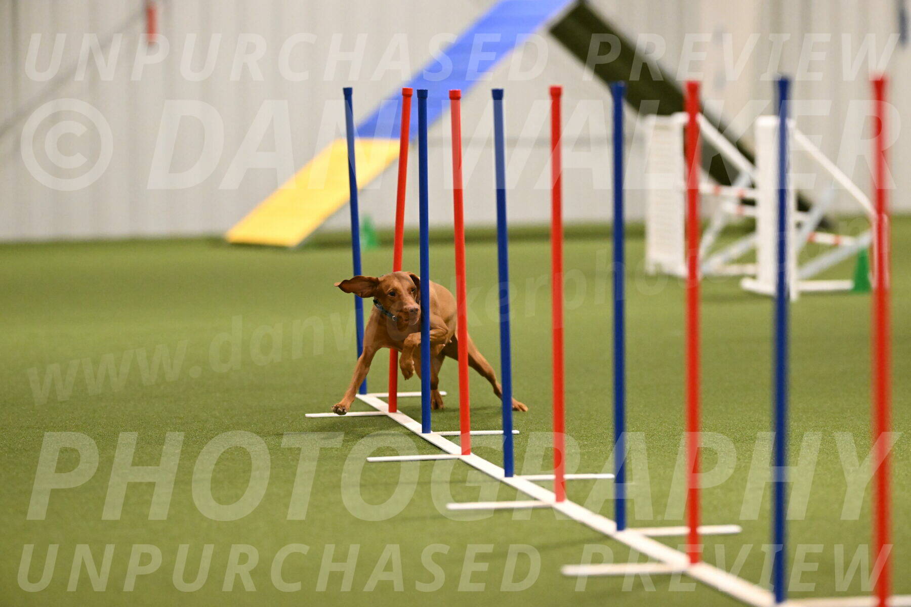 Indie-Jean-Bonness-02698