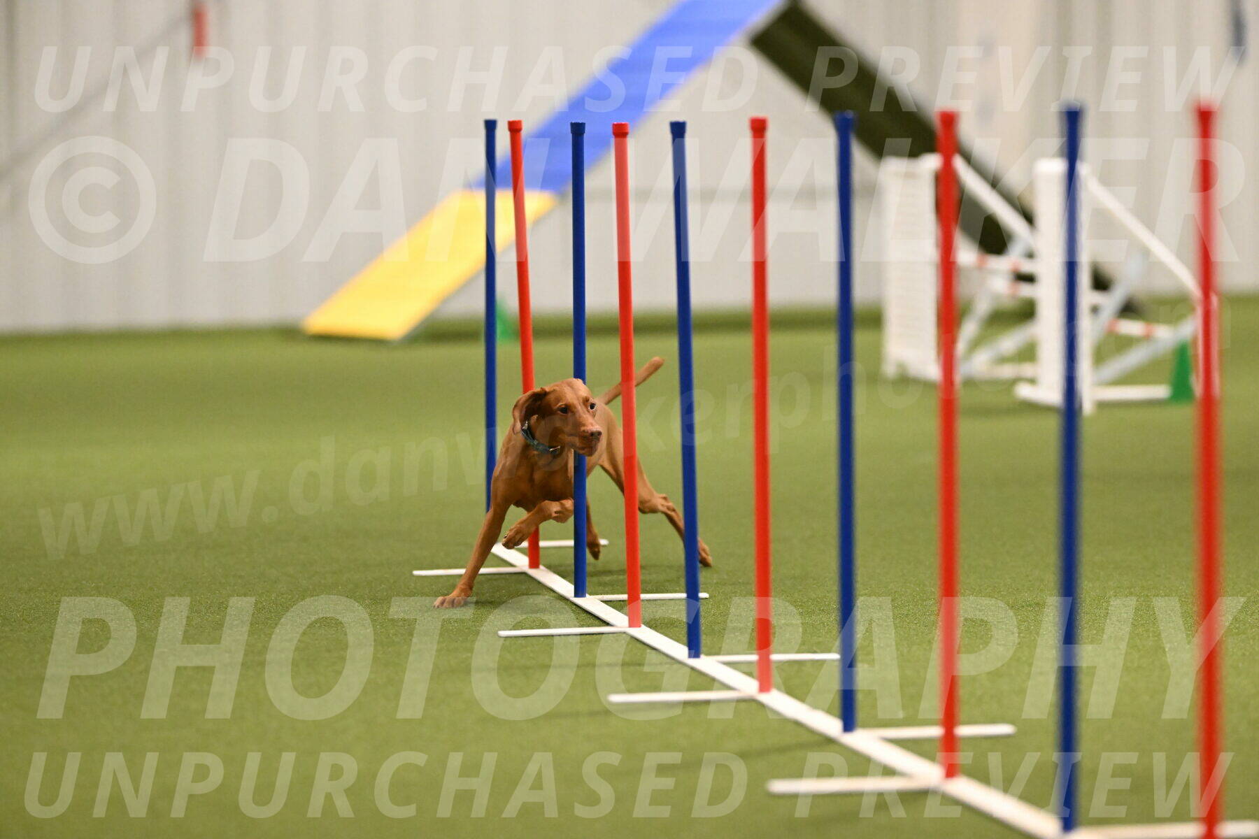 Indie-Jean-Bonness-02699