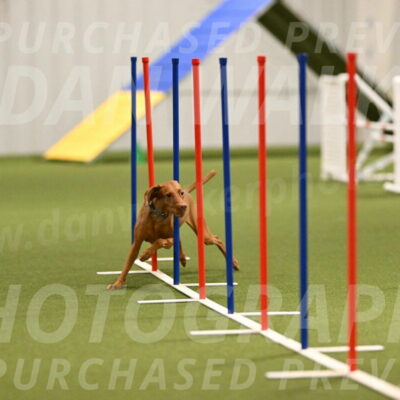 Indie-Jean-Bonness-02699