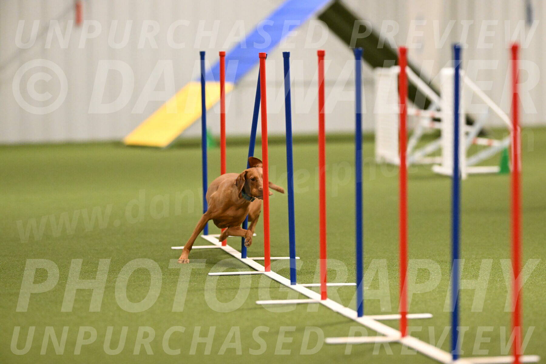 Indie-Jean-Bonness-02700