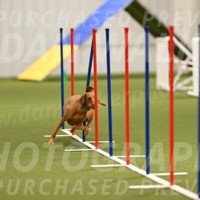 Indie-Jean-Bonness-02700