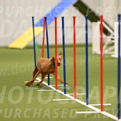 Indie-Jean-Bonness-02701