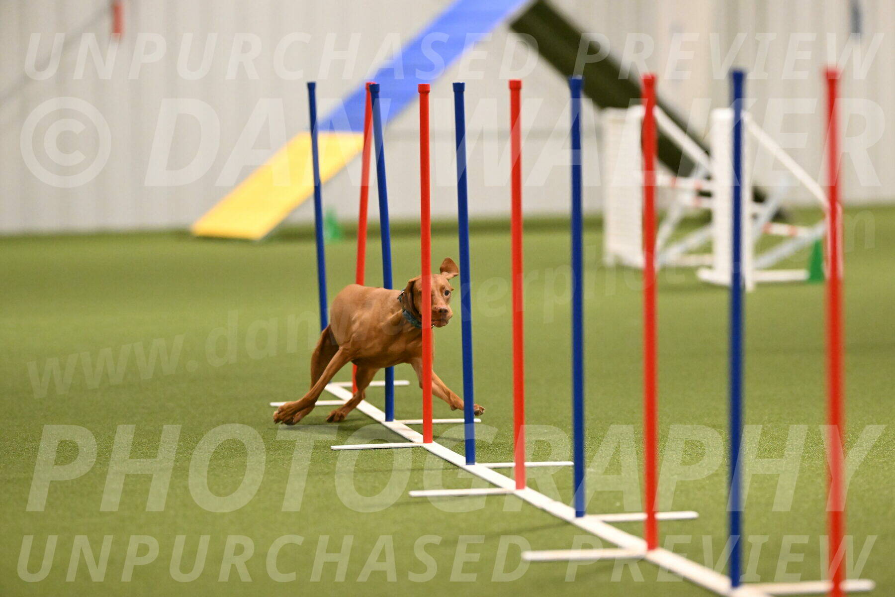 Indie-Jean-Bonness-02701