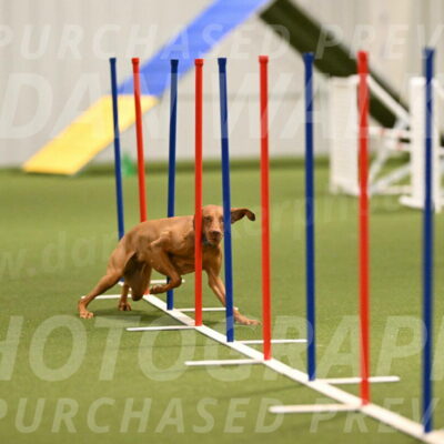 Indie-Jean-Bonness-02702