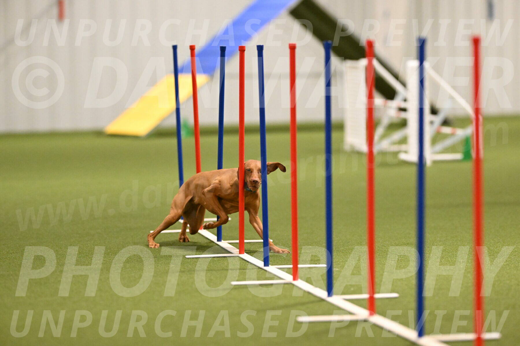 Indie-Jean-Bonness-02702