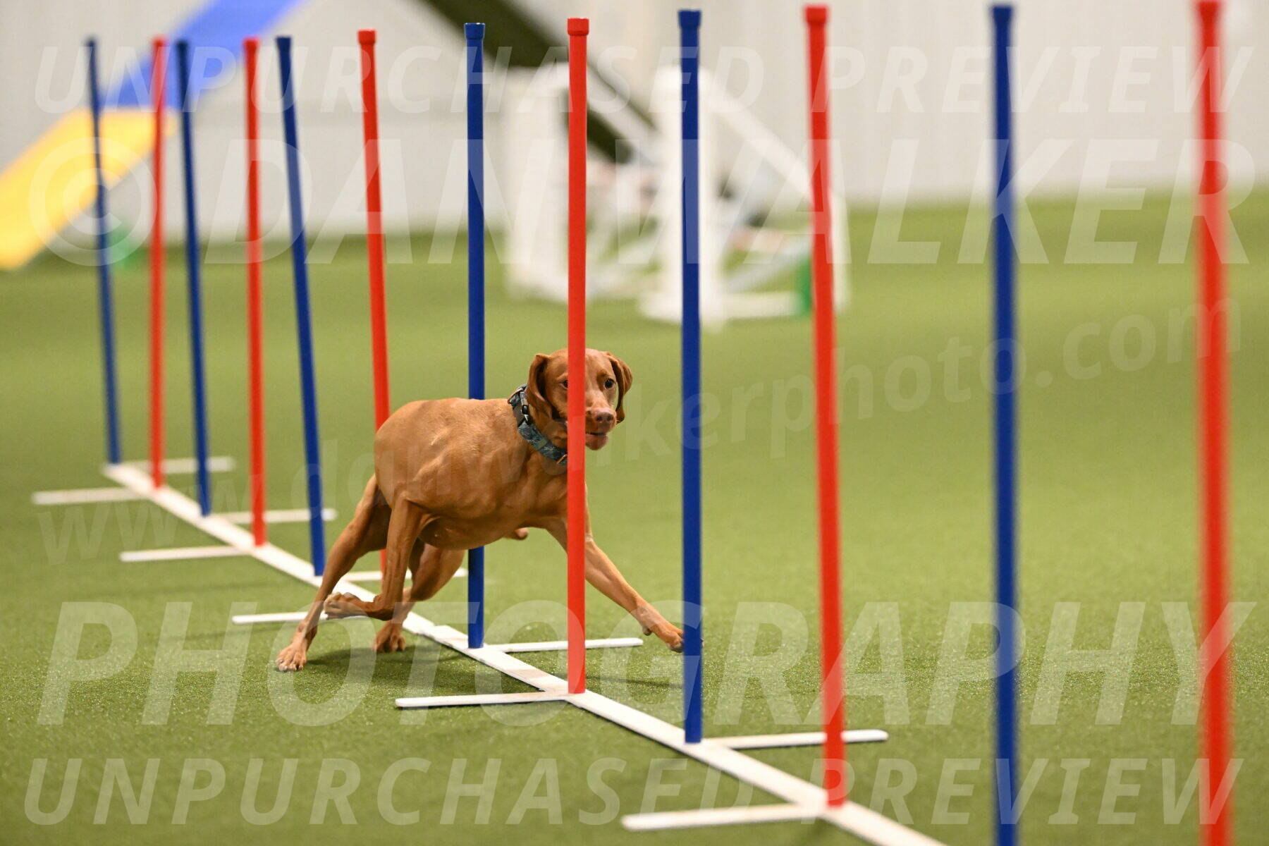 Indie-Jean-Bonness-02703