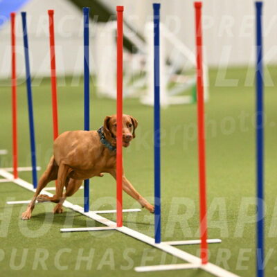 Indie-Jean-Bonness-02703