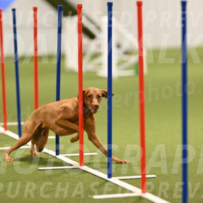 Indie-Jean-Bonness-02704