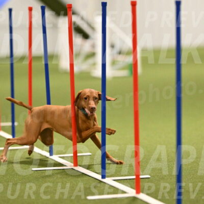 Indie-Jean-Bonness-02705