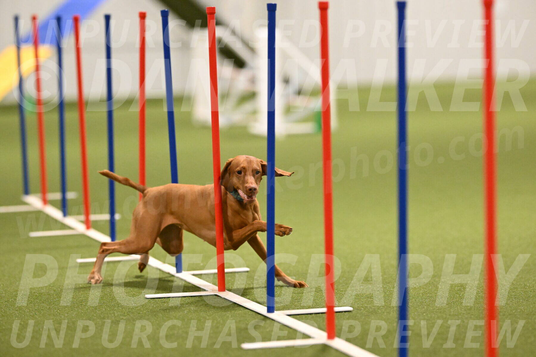 Indie-Jean-Bonness-02705