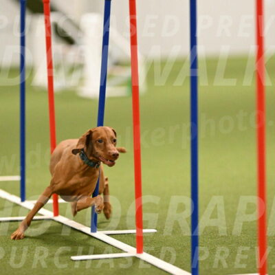 Indie-Jean-Bonness-02706