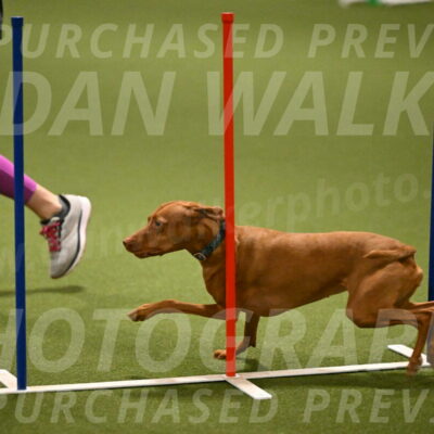 Indie-Jean-Bonness-02707