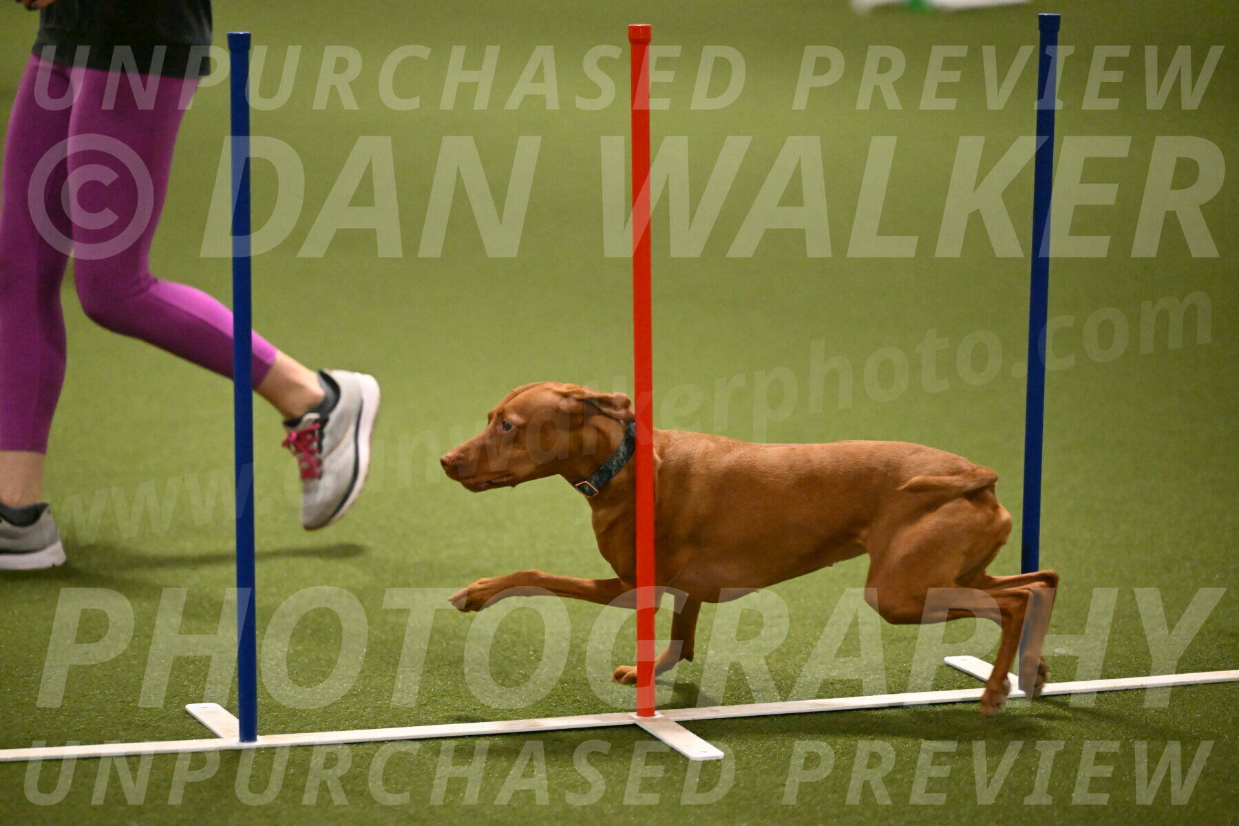 Indie-Jean-Bonness-02707