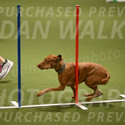 Indie-Jean-Bonness-02708