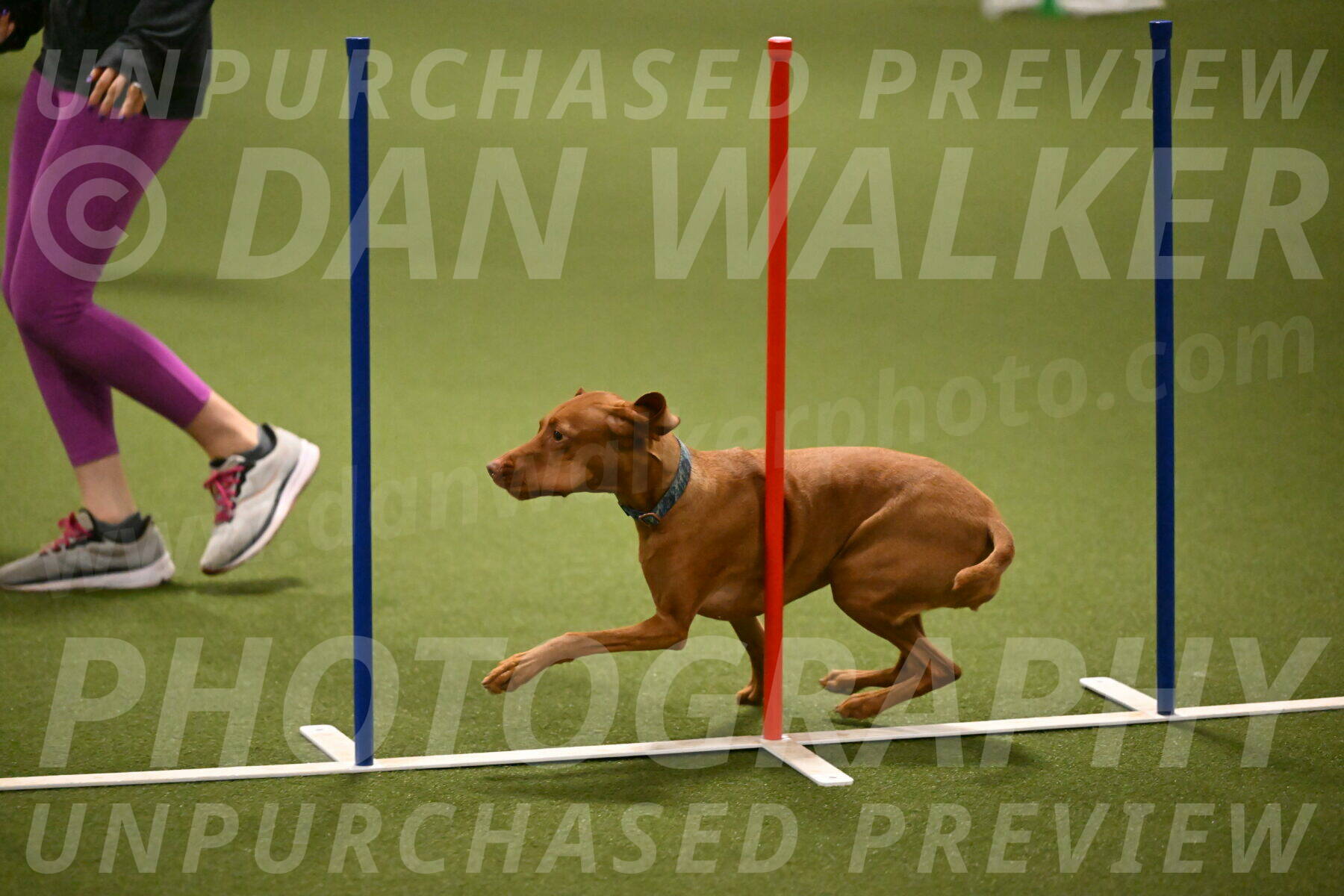 Indie-Jean-Bonness-02708