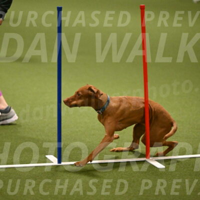 Indie-Jean-Bonness-02709