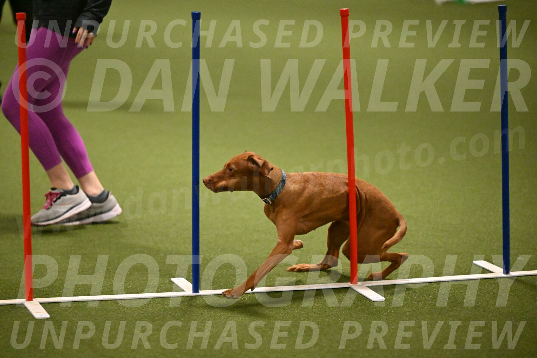 Indie-Jean-Bonness-02709