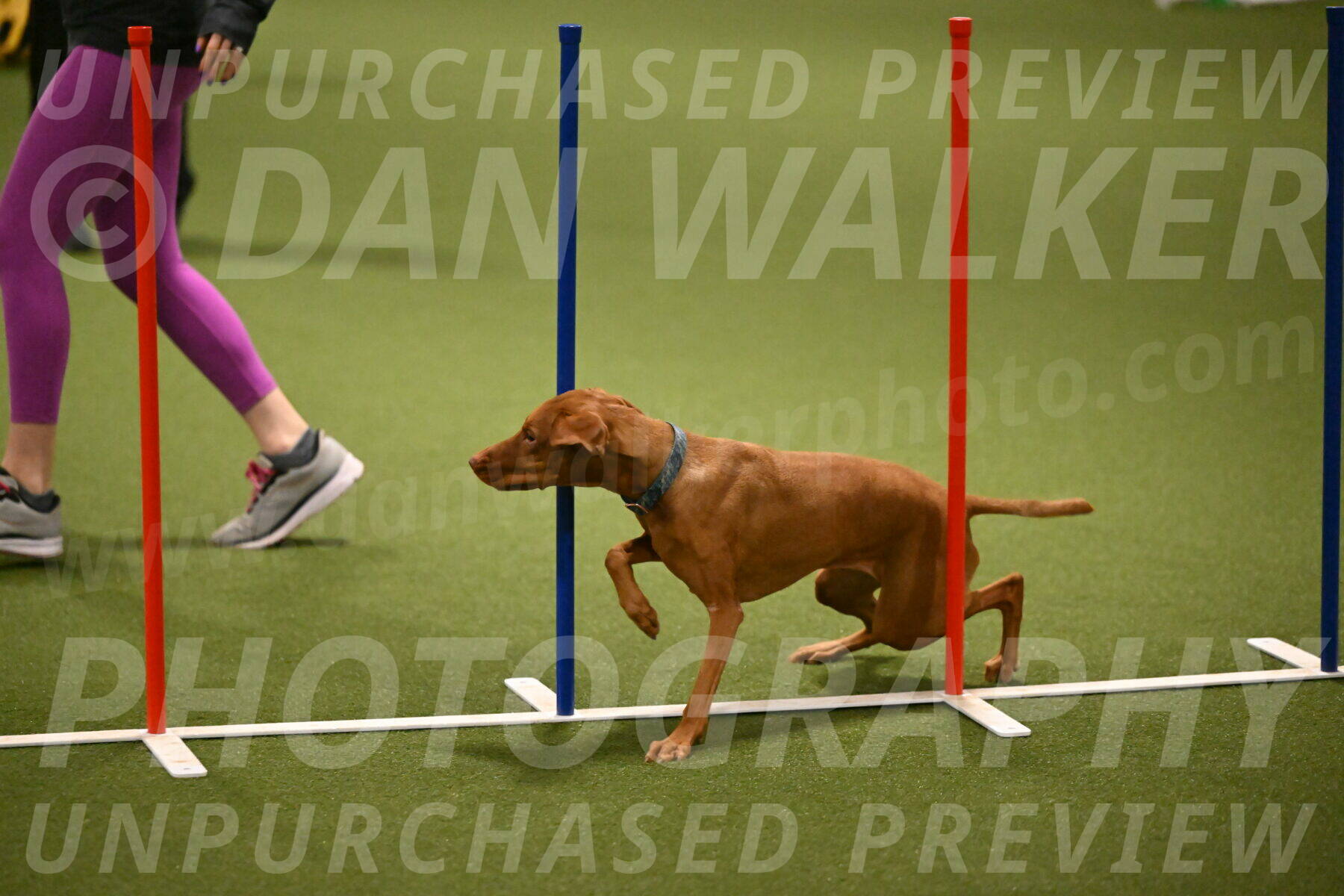 Indie-Jean-Bonness-02710