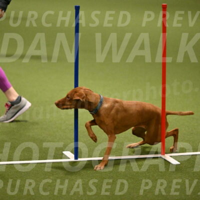 Indie-Jean-Bonness-02710