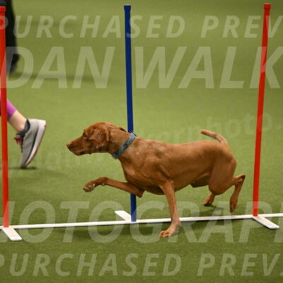 Indie-Jean-Bonness-02711