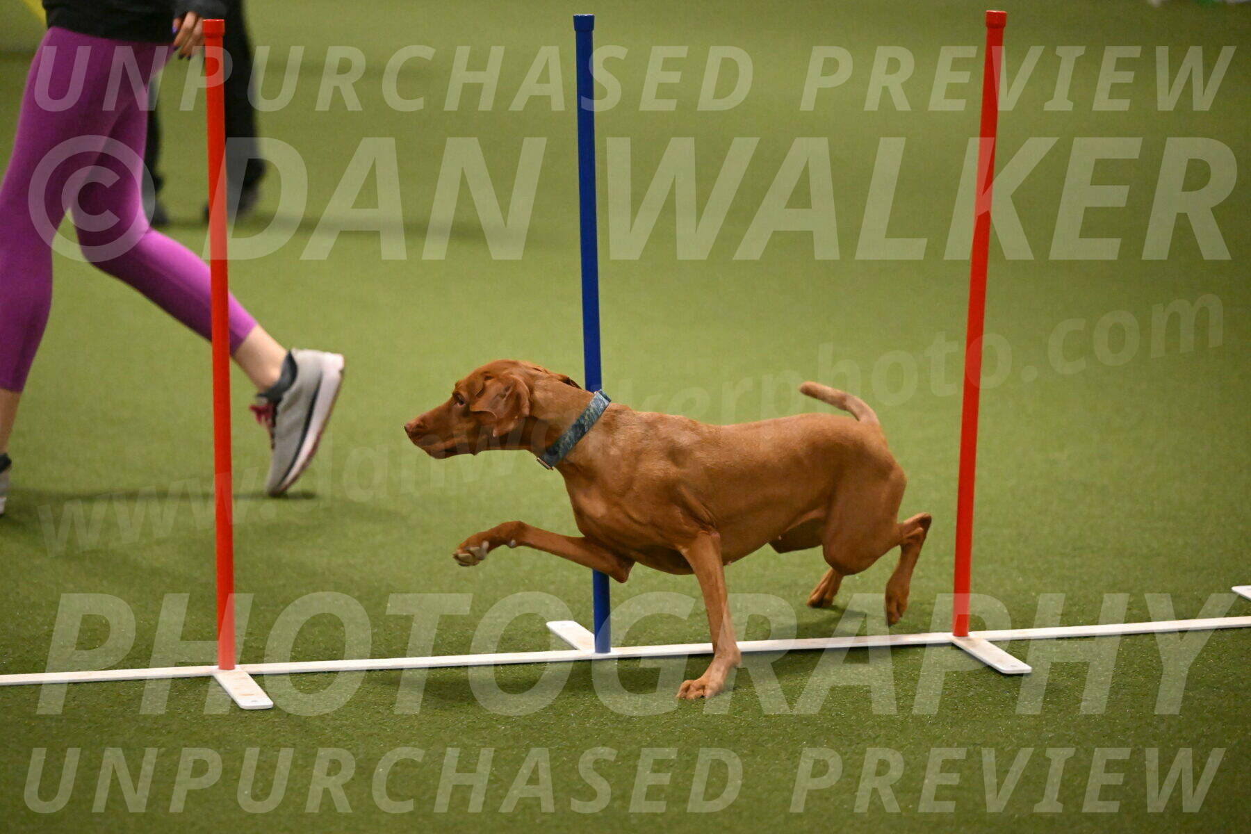 Indie-Jean-Bonness-02711