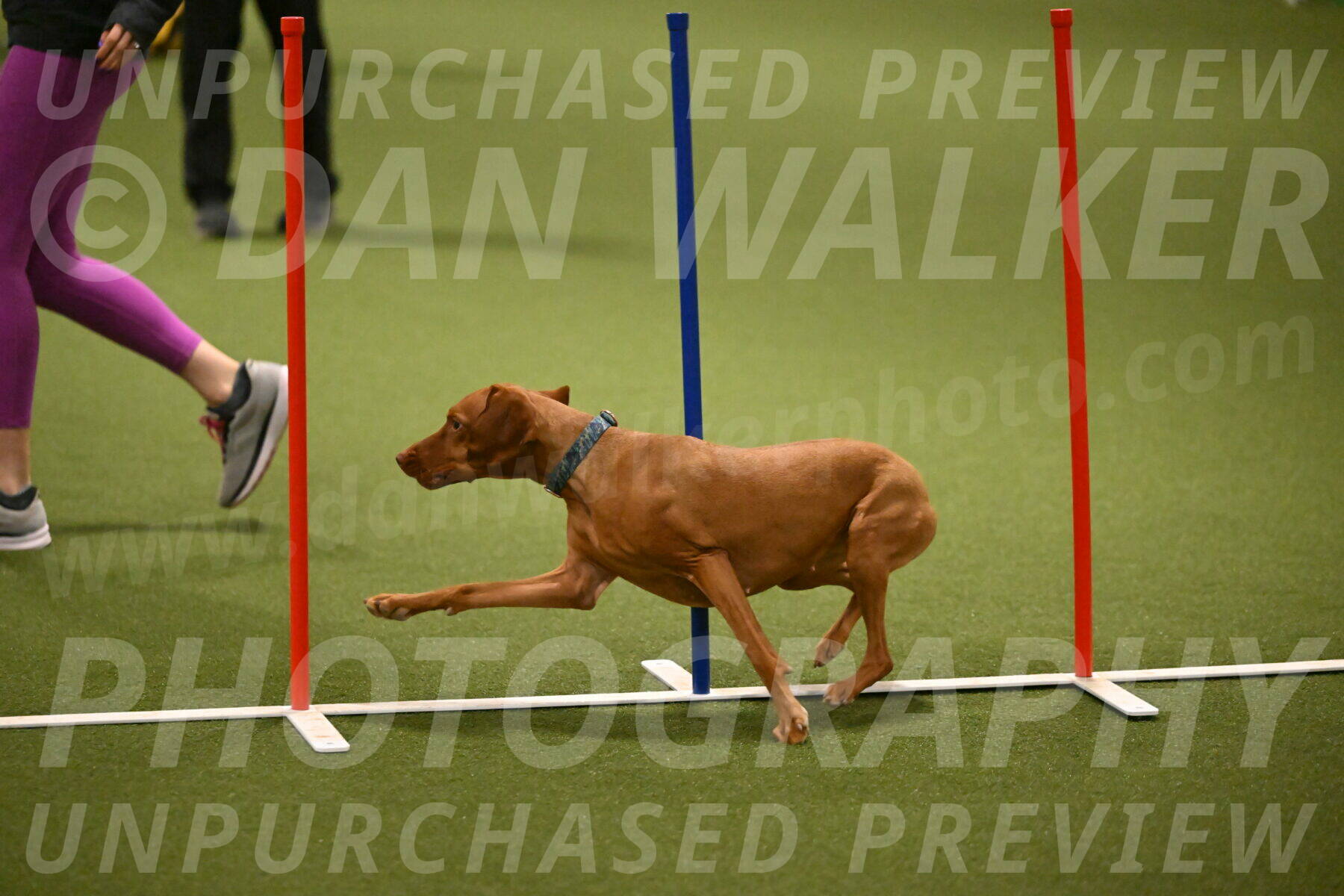 Indie-Jean-Bonness-02712