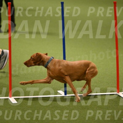 Indie-Jean-Bonness-02712