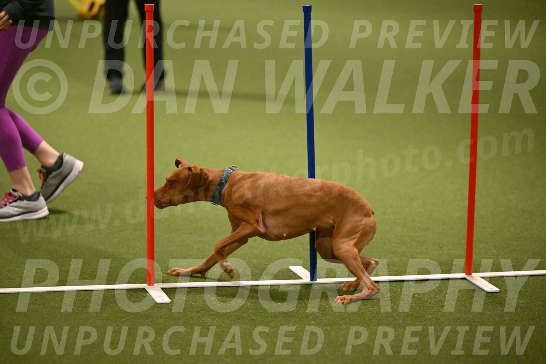 Indie-Jean-Bonness-02713