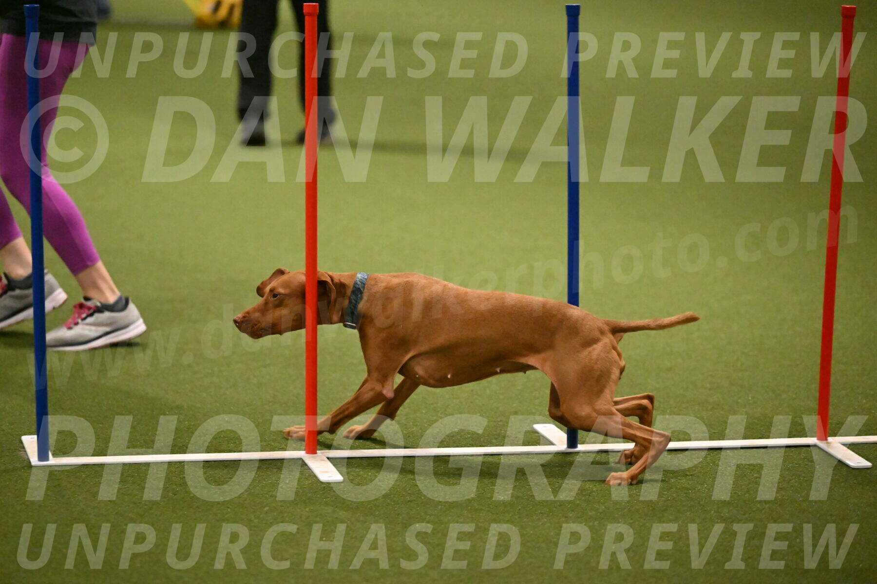 Indie-Jean-Bonness-02714