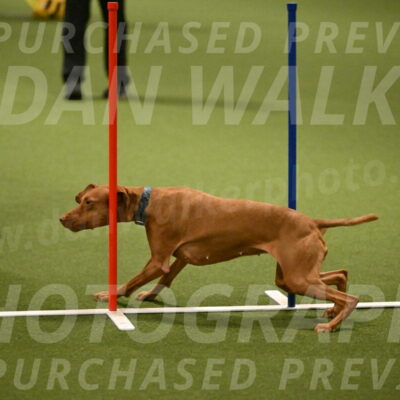 Indie-Jean-Bonness-02714