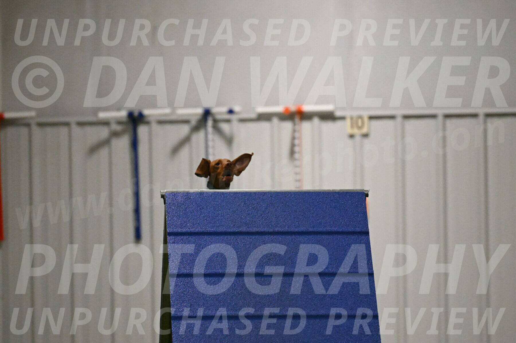 Indie-Jean-Bonness-02716