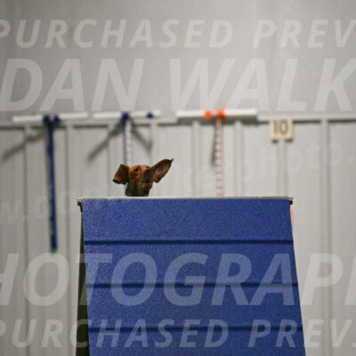 Indie-Jean-Bonness-02716