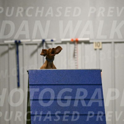 Indie-Jean-Bonness-02717