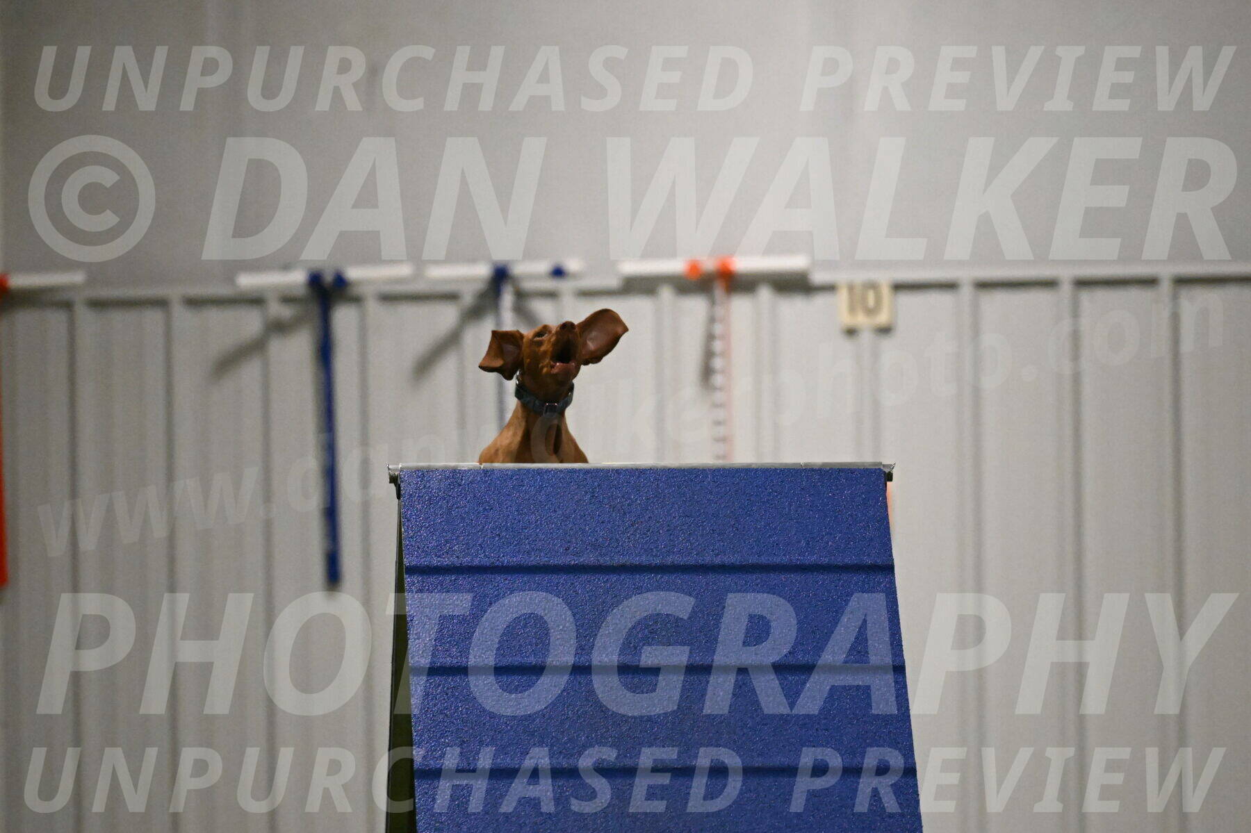 Indie-Jean-Bonness-02717