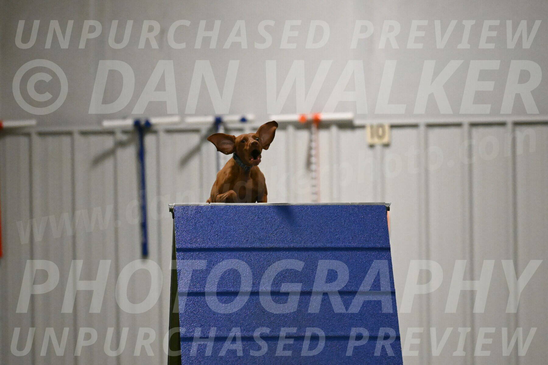 Indie-Jean-Bonness-02718